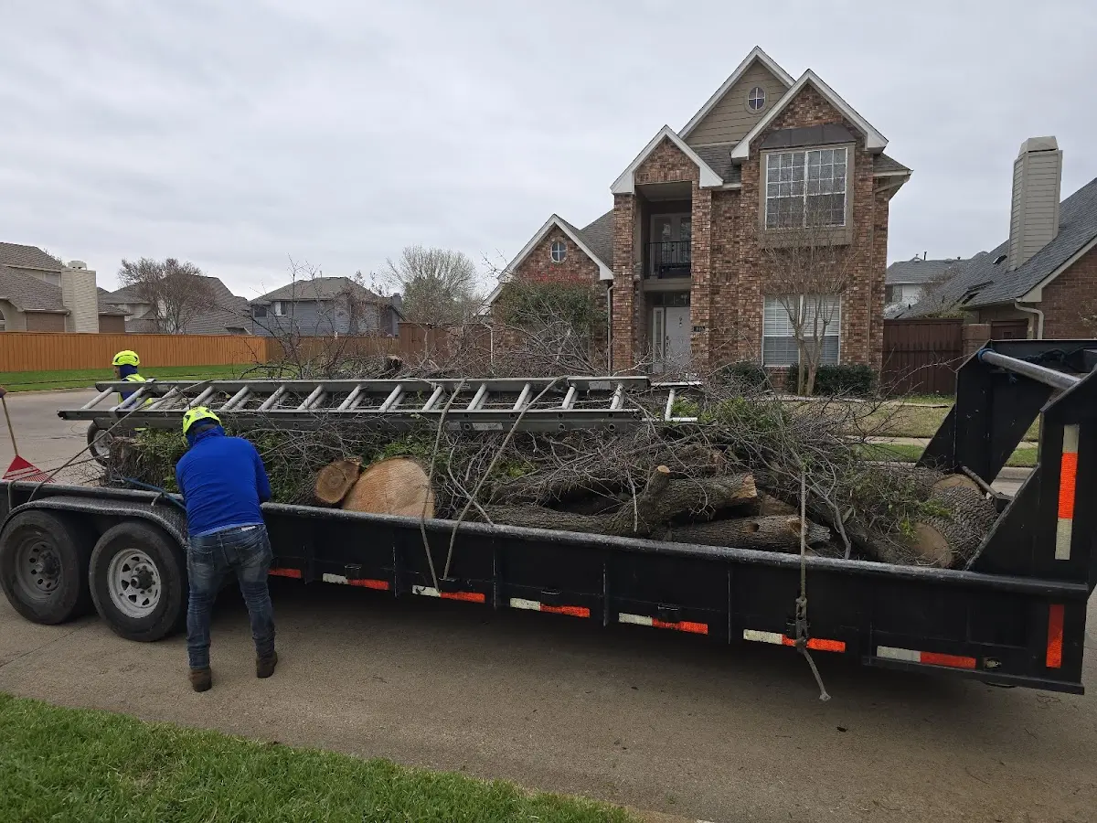 Expert Tree Fertilization with proper safety equipment in Rex
